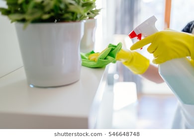 Denver House Cleaning Pros