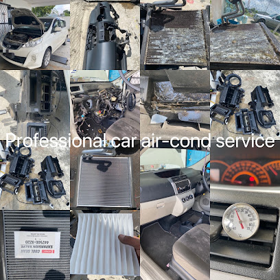 PROFESSIONAL CAR AIR-COND SERVICE