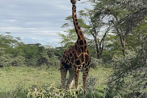 Nakuru Park image
