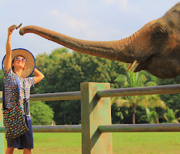 Authentic Thai Elephant Sanctuary photo