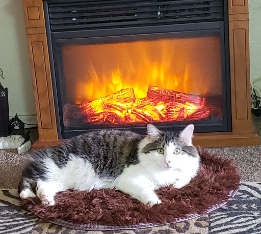 Chambers Veterinary Clinic image