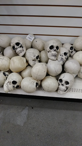 Dollar Store «Dollar Tree», reviews and photos, 950 American Legion Hwy, Boston, MA 02131, USA