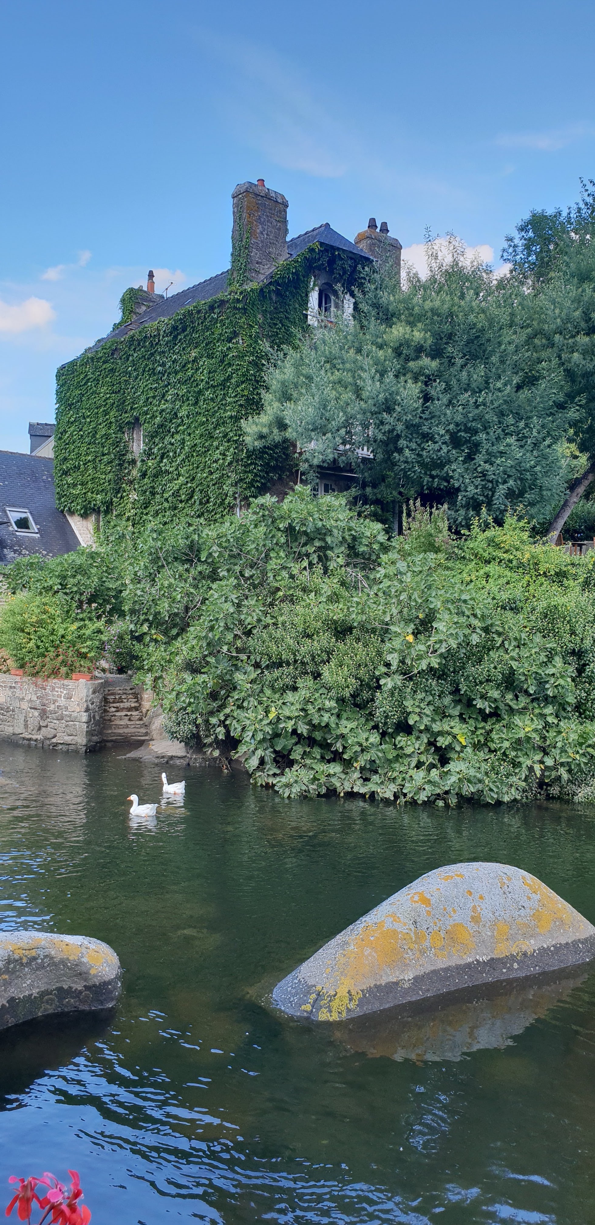 Photo n° 3 de l'avis de Bruce.e fait le 27/08/2018 à 19:50
