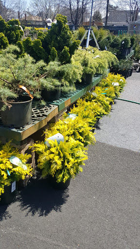 Garden Center «Dees Nursery & Florist», reviews and photos, 69 Atlantic Ave, Oceanside, NY 11572, USA