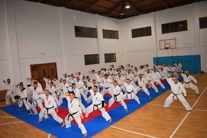 Shinkyokushin Karate - Skapi dojo