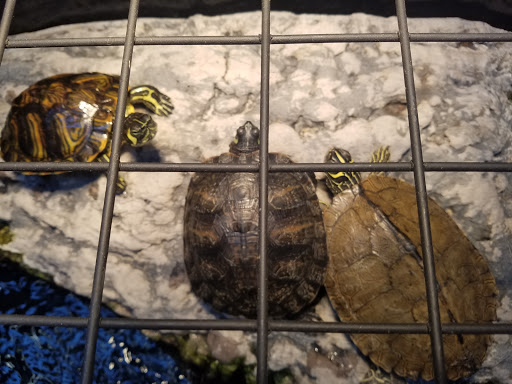 Pet Supply Store «Petco Animal Supplies», reviews and photos, 901 W Indiantown Rd #30, Jupiter, FL 33458, USA