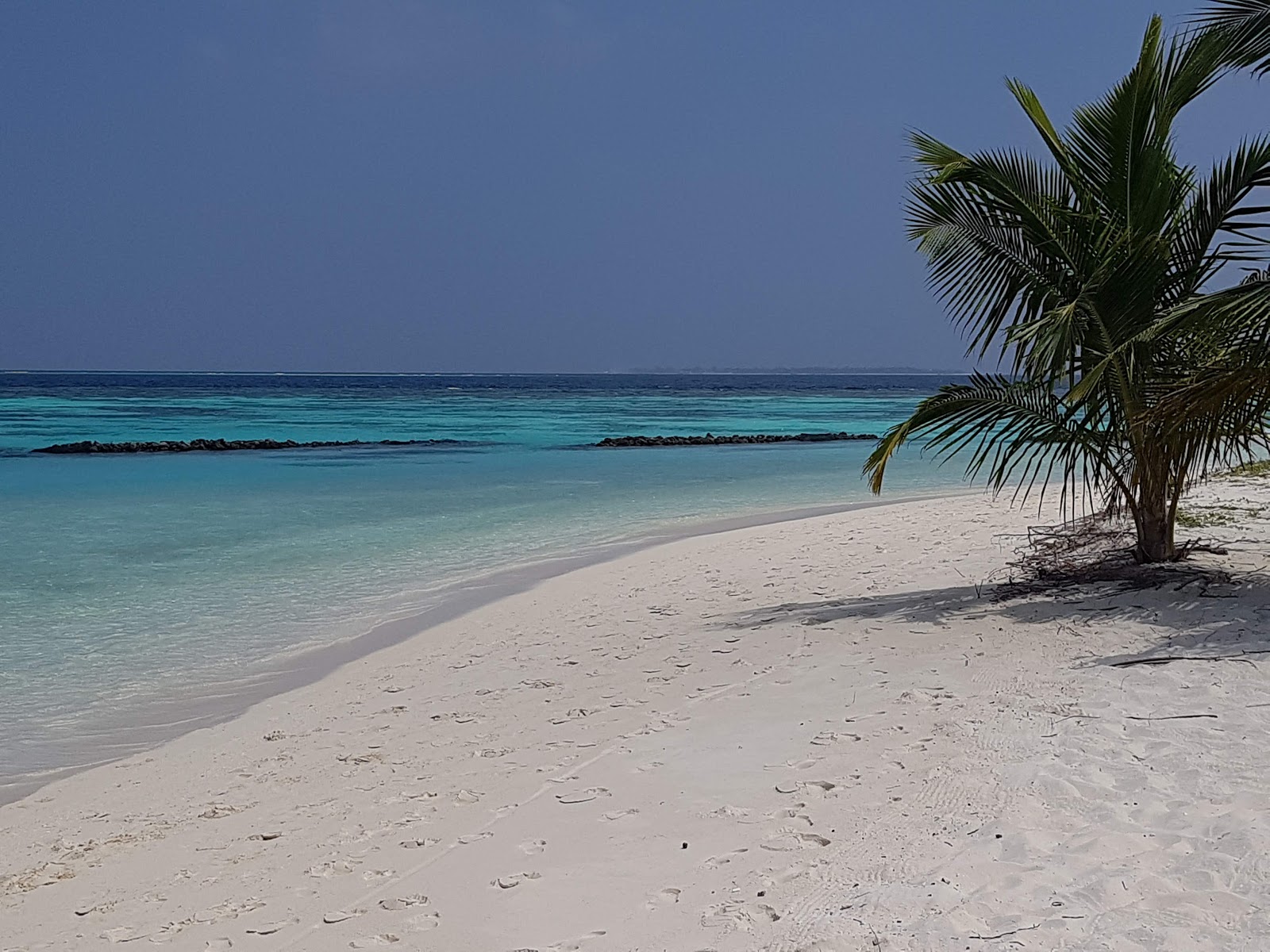 Velidhu Island Resort photo #9