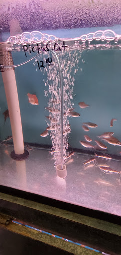 Aquarium «Tamco Aquarium», reviews and photos, 6310 Bay Pkwy, Brooklyn, NY 11204, USA