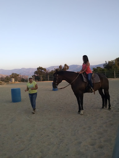 Horse trainer Santa Clarita