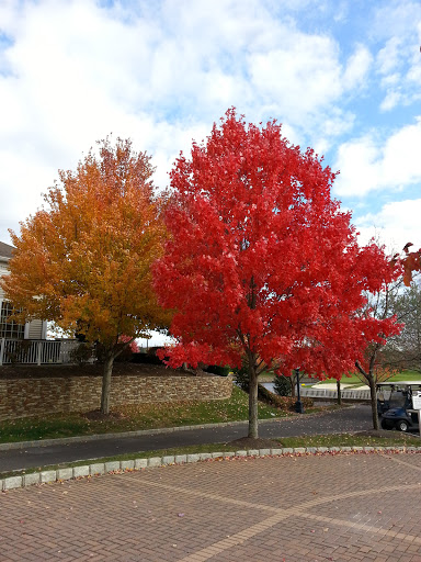 Golf Course «Willow Creek Golf & Country Club - NY», reviews and photos, 1 Clubhouse Dr, Mt Sinai, NY 11766, USA