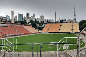 Estádio Municipal Paulo Machado de Carvalho image