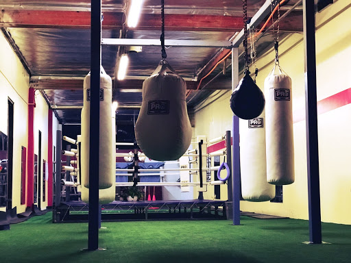 Hamabe Dojo: Boxing and Fitness School in Irvine