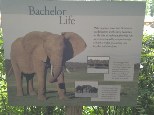 Zoo «The Maryland Zoo in Baltimore», reviews and photos, 1 Safari Place, Baltimore, MD 21217, USA