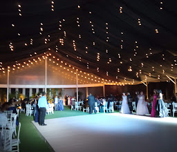 Villa 49 Jardín de Eventos photo