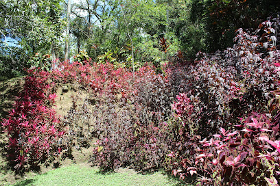 Jardín Botánico San Jorge