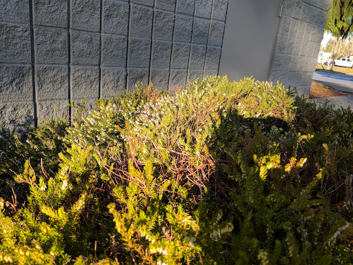 Bowling Alley «Brunswick Zone Majestic Lanes», reviews and photos, 1222 164th St SW, Lynnwood, WA 98087, USA