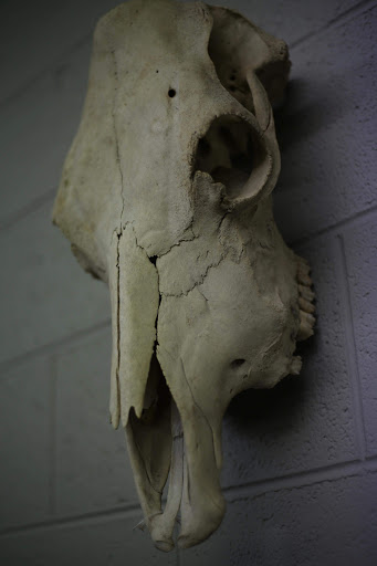 Explore engineer tattoo ideas, creative tattoo ideas in Springfield, available at Triumph Tattoo