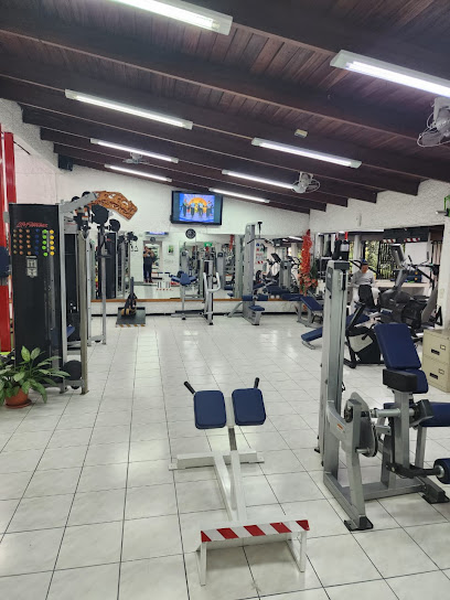 Gym Todd - A016, El Prado, San José, San Pedro, 11801, Costa Rica