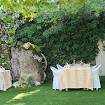 Photo n°9 de l'avis de favaron.a fait le 15/08/2021 à 13:02 sur le  Ai Castelli - Matrimoni sui Colli Euganei à Rovolon