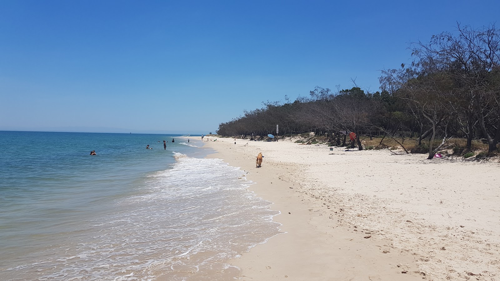 Fotografija Red Beach z svetel fin pesek površino