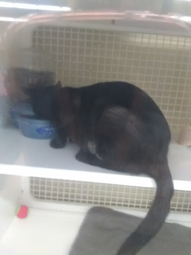 Pet Supply Store «Petco Animal Supplies», reviews and photos, 1680 Campbell Ln, Bowling Green, KY 42104, USA