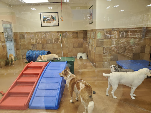 Pet Supply Store «PetSmart», reviews and photos, 21032 S Ellsworth Loop, Queen Creek, AZ 85142, USA