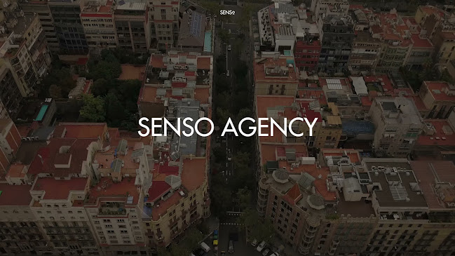 Reviews of Senso Agency in Manchester - Advertising agency