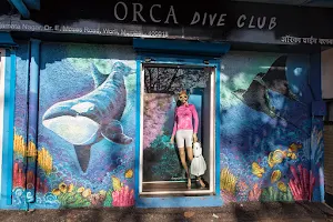 Orca Dive Club image