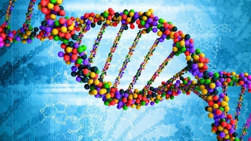 Karyotype analysis Delhi