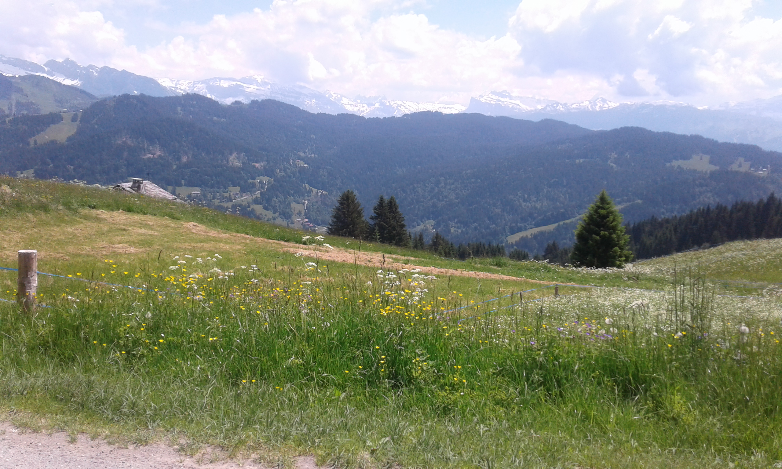 Photo n° 18 de l'avis de Cherzad.r fait le 24/06/2018 à 20:16