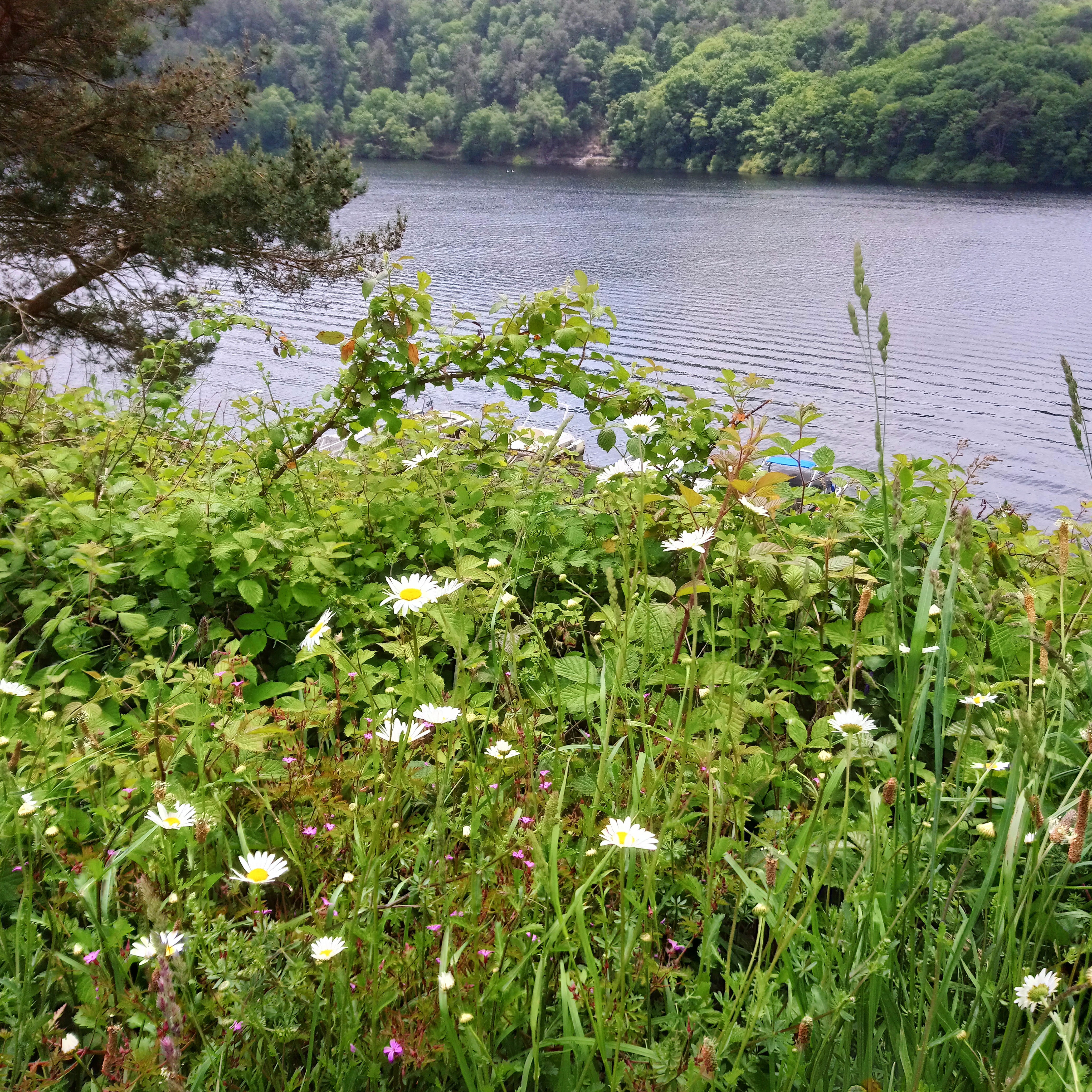 Photo n° 2 de l'avis de Pascale.E fait le 31/05/2018 à 10:19