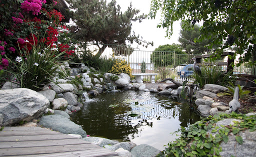 Mystic Koi & Water Gardens