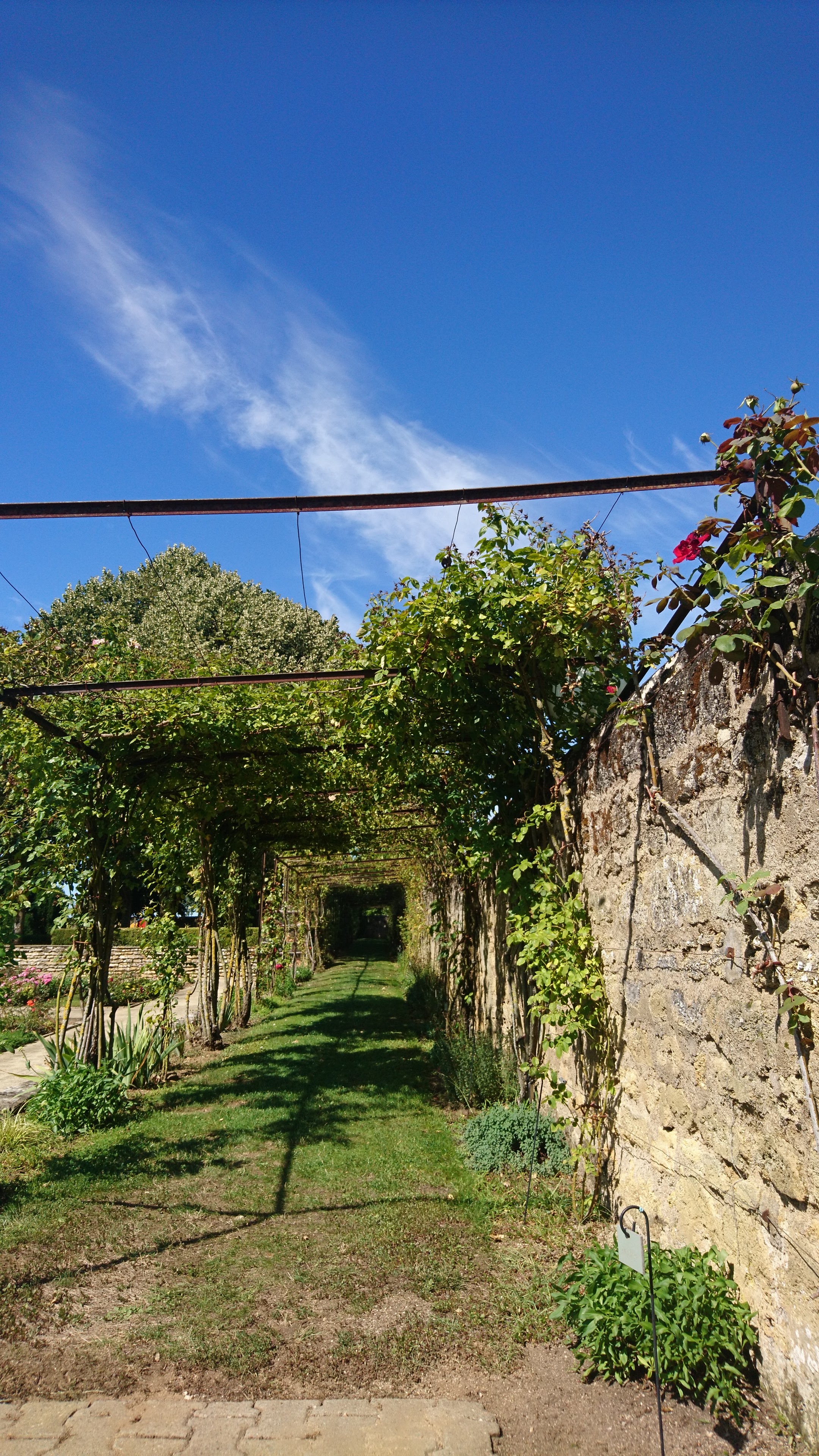 Photo n° 12 de l'avis de david.o fait le 23/08/2019 à 15:25