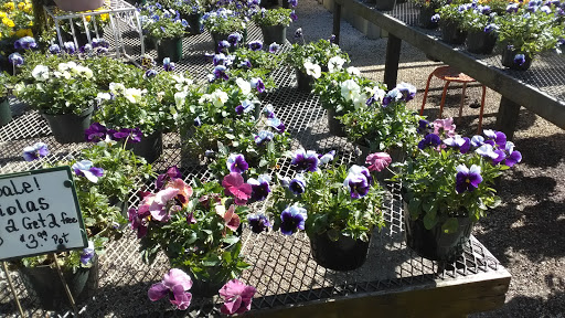 Garden Center «The Plant Place», reviews and photos, 6114 Market St, Wilmington, NC 28405, USA