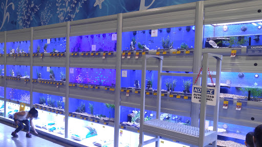 Pet Supply Store «PetSmart», reviews and photos, 2140 17th St, Santa Ana, CA 92705, USA