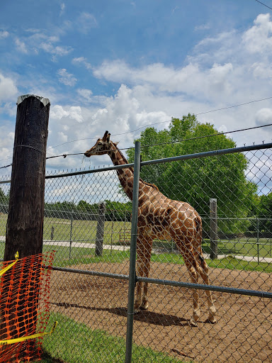 Zoo «Tupelo Buffalo Park & Zoo», reviews and photos, 2272 Coley Rd, Tupelo, MS 38801, USA