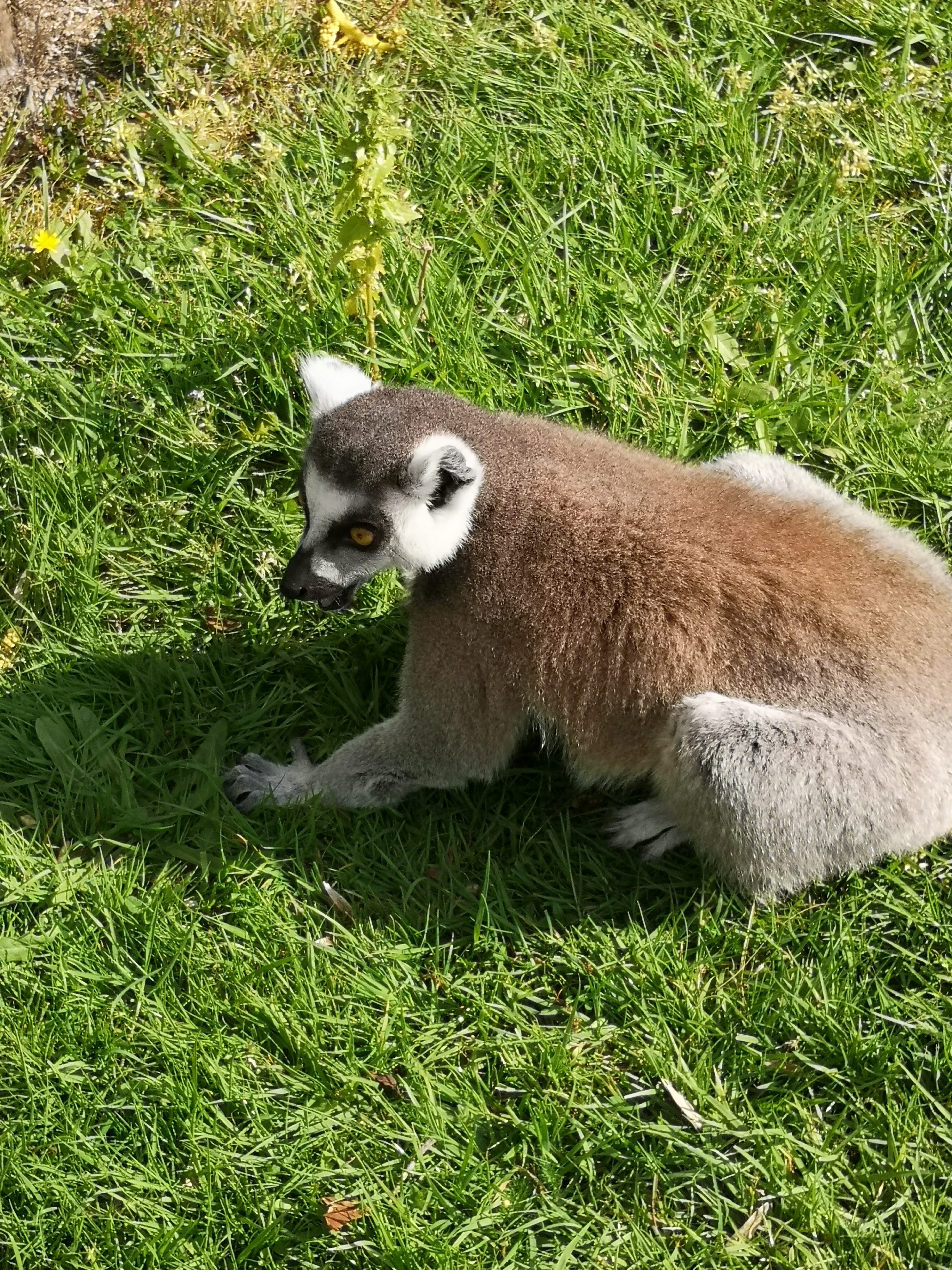 Photo n° 3 de l'avis de Benoit. fait le 15/05/2019 à 12:25