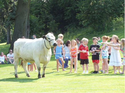 Health Club «The Abington Club», reviews and photos, 300 Meetinghouse Rd, Jenkintown, PA 18946, USA