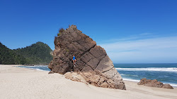 Foto von Scotts Beach mit türkisfarbenes wasser Oberfläche