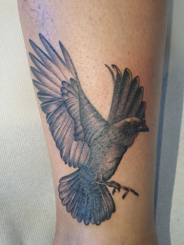 Mondschwester Tattoo & Kunst - Tattoostudio