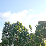 Photo n°11 de l'avis de Luce.r fait le 03/04/2022 à 15:52 sur le  Agriturismo Mulinu Betzu à San Vero Milis