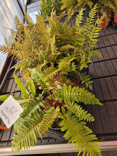 Opinii despre Centrum Ogrodniczo-Budowlane MAR SP.ZO.O. în Wałbrzych - Ogrodnik