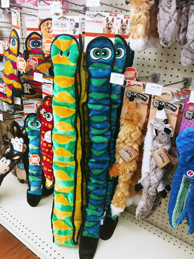 Pet Supply Store «Pet Supermarket», reviews and photos, 3806 S Dale Mabry Hwy, Tampa, FL 33629, USA