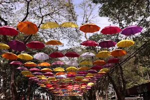 Guarda-chuvas de Holambra - SP image