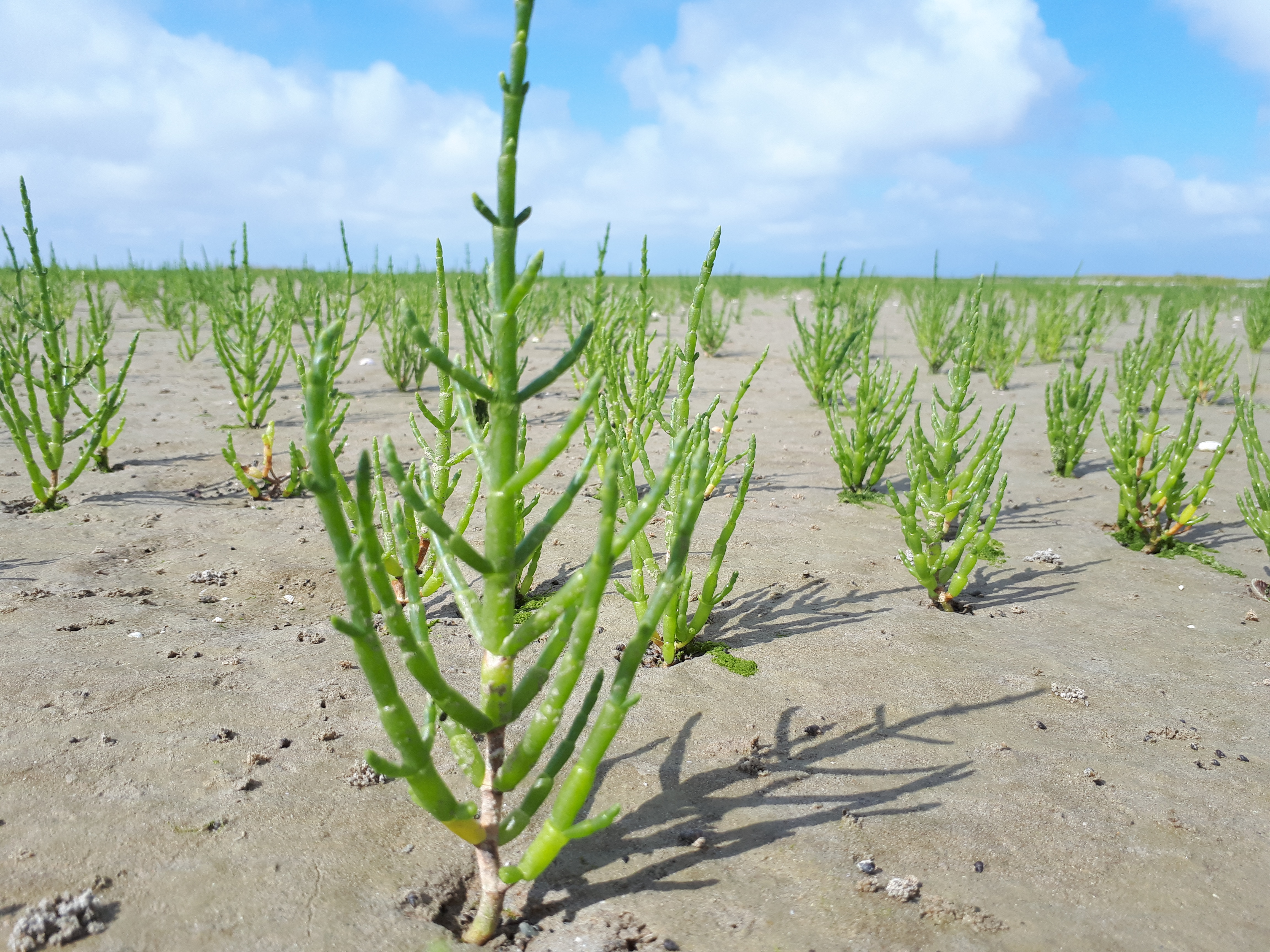 Photo n° 1 de l'avis de Elliot.E fait le 04/08/2019 à 16:43