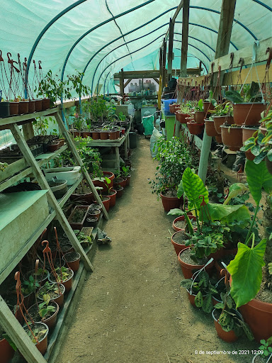Centro jardineria Valparaiso