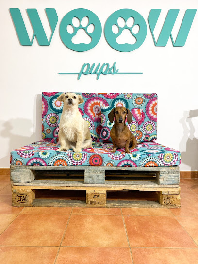 Woow Pups - Servicios para mascota en Oviedo