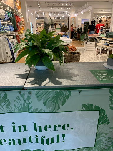 Clothing Store «AEO & Aerie Store», reviews and photos, 2801 Wilma Rudolph Blvd #445, Clarksville, TN 37040, USA