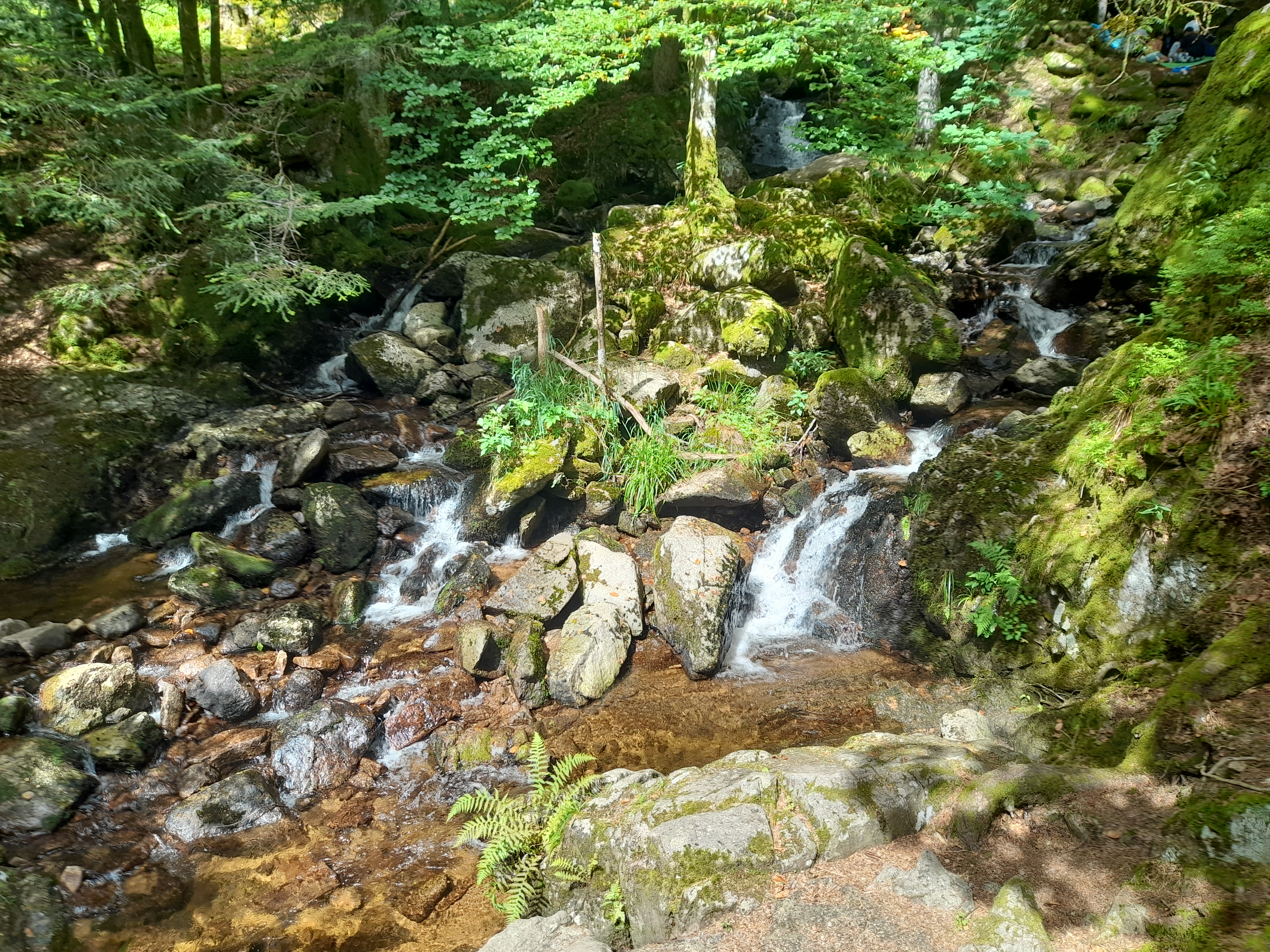 Photo n° 6 de l'avis de Graziella.i fait le 17/08/2023 à 19:20