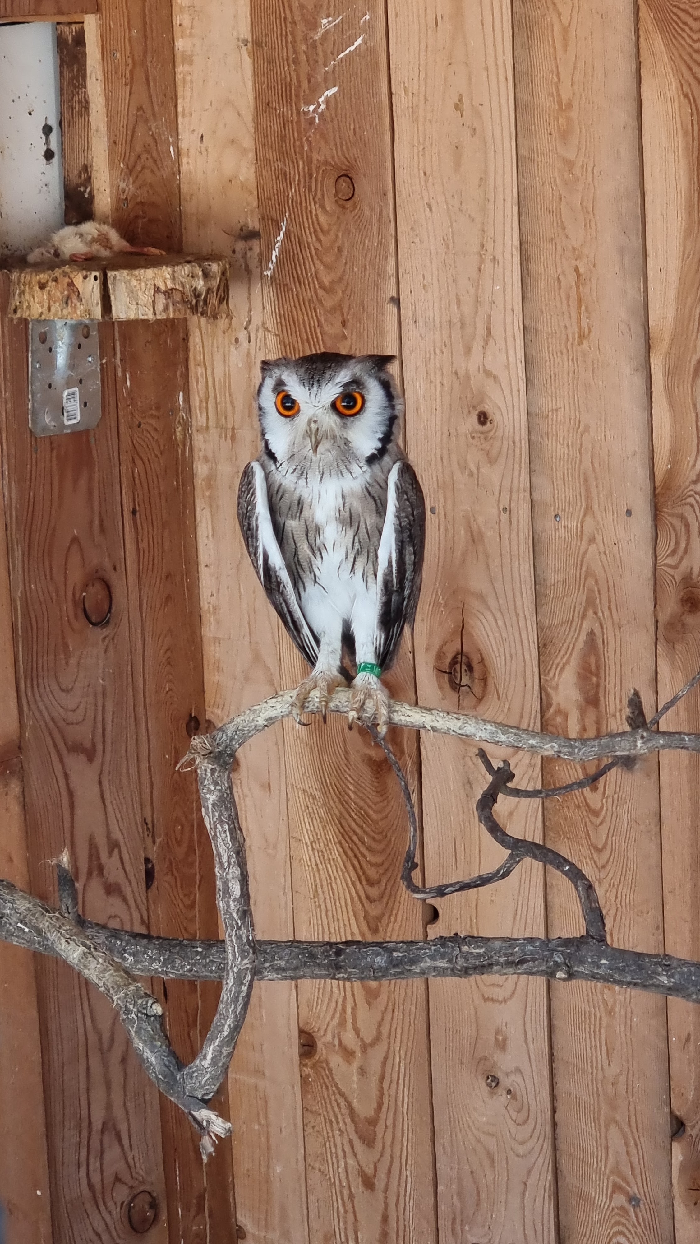 Photo n° 2 de l'avis de David.a fait le 29/08/2023 à 17:33